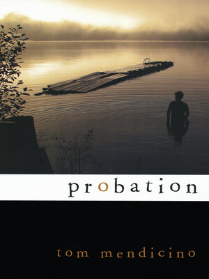 Probation - ebook